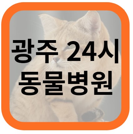 광주 24시 동물병원