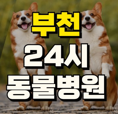 부천 24시 동물병원