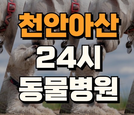 천안아산 24시 동물병원