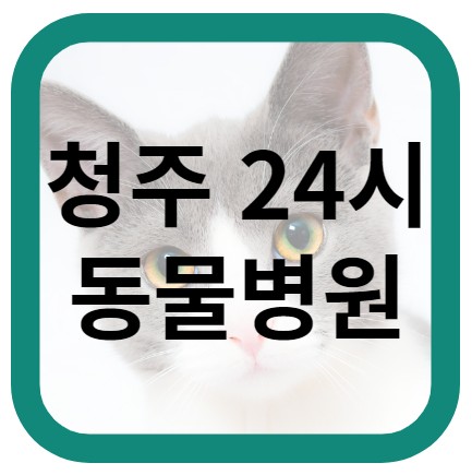 청주 24시 동물병원